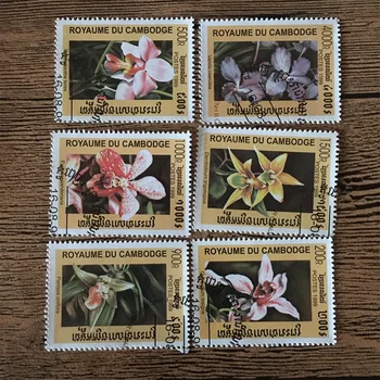 6 szt./kpl. Znaczki pocztowe Kambodży 1999 Roślina Kwiat Służy Pocztowy Oznakowanie Znaczki Pocztowe do Zbierania